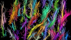 splashes colorful shapes digital art