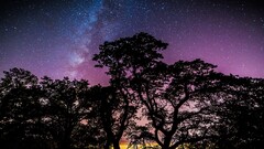 Stars Trees galaxy nature night sky night sky silhouette