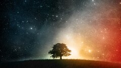 Stars Trees Space nature universe horizon planet colorful sky