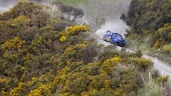 Subaru rally cars Car vehicle blue cars racing