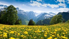 summer Mountains clouds landscape Flowers