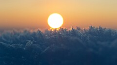 sun bokeh macro frost winter nature
