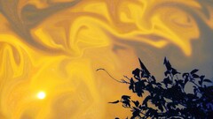 sun leaves sky artwork sunlight