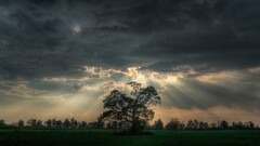 sun rays Trees nature landscape clouds field forest grass hdr
