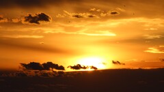 sunlight Sea sunset water Australia nature