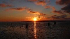 sunset beach sky clouds sunlight