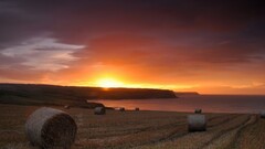 sunset field Sea sunlight hay bales coast