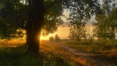 sunset landscape hdr Trees path grass