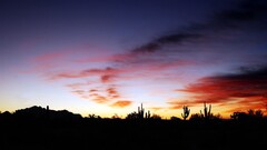 sunset sky desert dark sunlight clouds cactus red silhouette