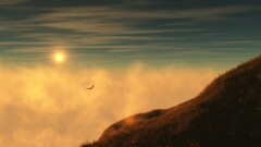 sunset sky eagle hills Animals Birds sunlight nature