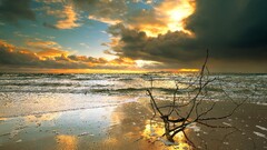 sunset sunlight landscape nature Sea beach sand