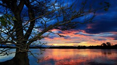 sunset Trees Lake water sky