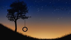 sunset Trees sunlight