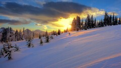 sunset winter Trees snow nature landscape clouds