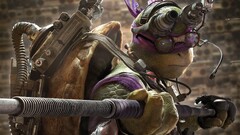 Teenage Mutant Ninja Turtles Movies turtle