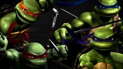 Teenage Mutant Ninja Turtles turtle warrior