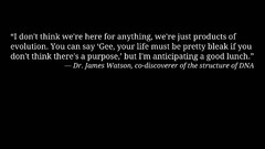 text quote Minimalism