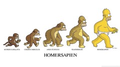 The Simpsons humor Homer Simpson Evolution