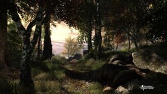 The Vanishing of Ethan Carter video games forest
