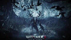 the witcher the witcher 3 wild hunt video games