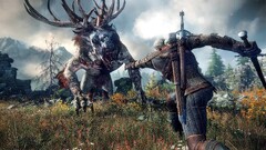 the witcher the witcher 3 wild hunt video games