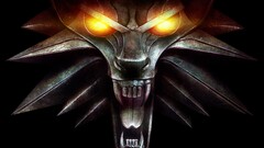 the witcher video games fantasy art