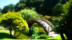 tilt-shift Bridge Plants Garden digital art outdoors