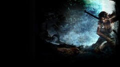 tomb raider lara croft artwork video games