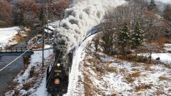 train nature railway winter vehicle