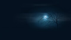 Trees artwork night moon Minimalism blue dark rain