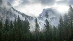 Trees mist Yosemite National Park landscape