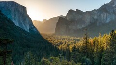 Trees Mountains forest nature sunset Yosemite National Park
