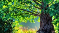 Trees nature artwork