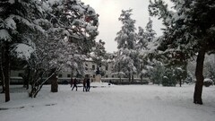Trees outdoors winter House People Park cold