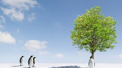 Trees Penguins Animals sky