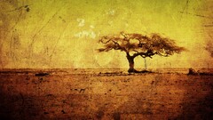 Trees Photo manipulation grunge nature landscape
