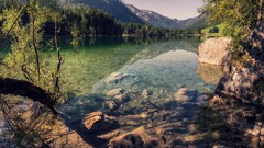 Trees river landscape nature water