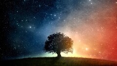 Trees sky artwork digital art Stars