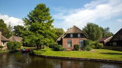 Trees water House urban