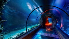 tunnel underwater blue aquarium
