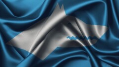 turkish flag texture