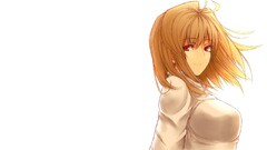 type-moon arcueid brunestud anime girls Anime