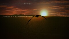 Typography Animals sun Birds Sea