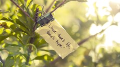 Typography branch Plants leaves