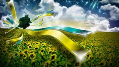 Ukraine digital art Sunflowers field sky Stars Flowers Plants
