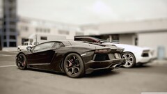 vehicle Car Lamborghini black cars white cars