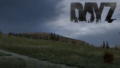 video games PC gaming dayz