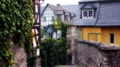 village House Plants street alleyway