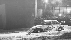 Volkswagen Car volkswagen beetle