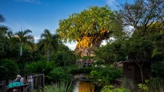 Walt Disney World Resort Park disney